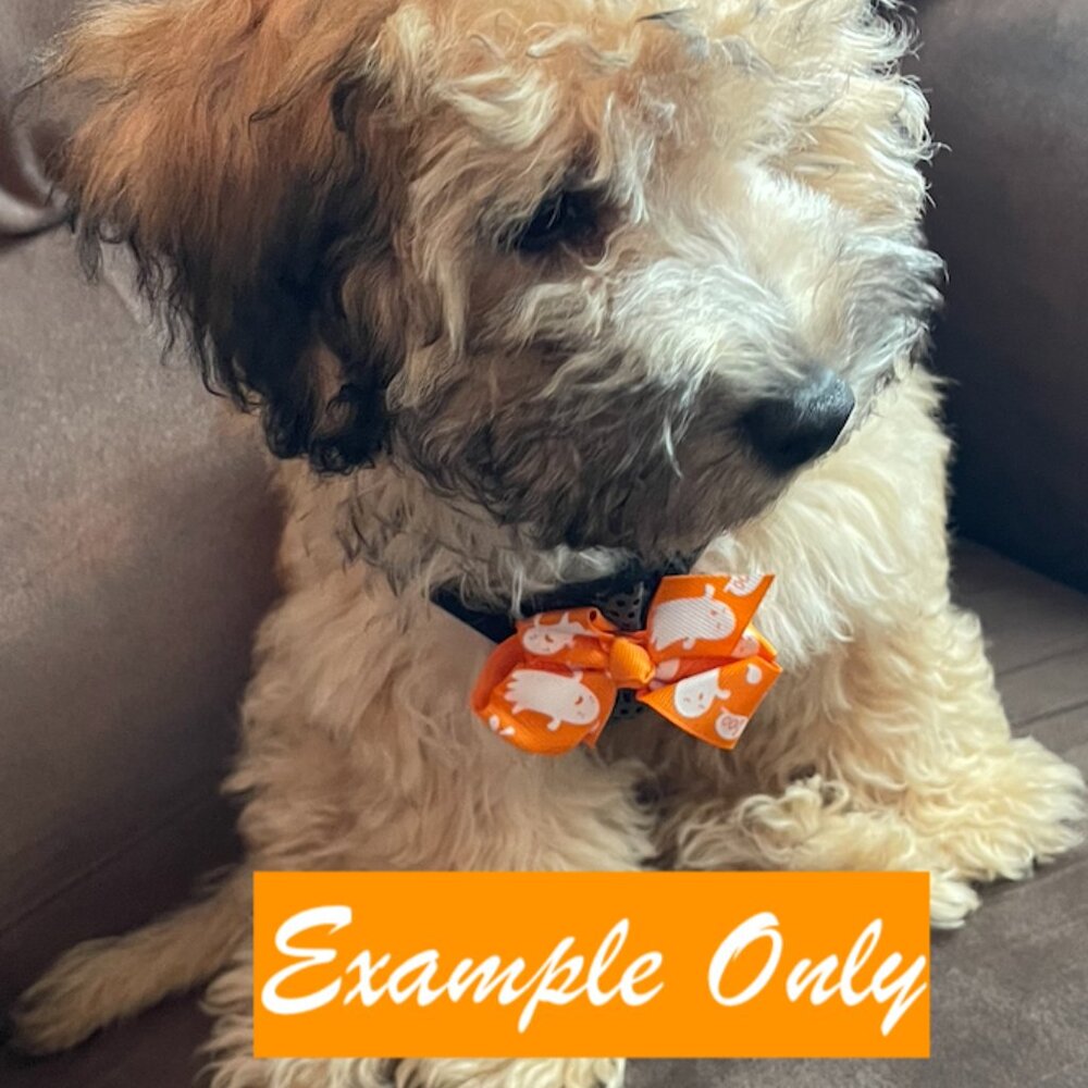 6 Halloween Mini Bows (7cm) in a Bag  - 1 of each design